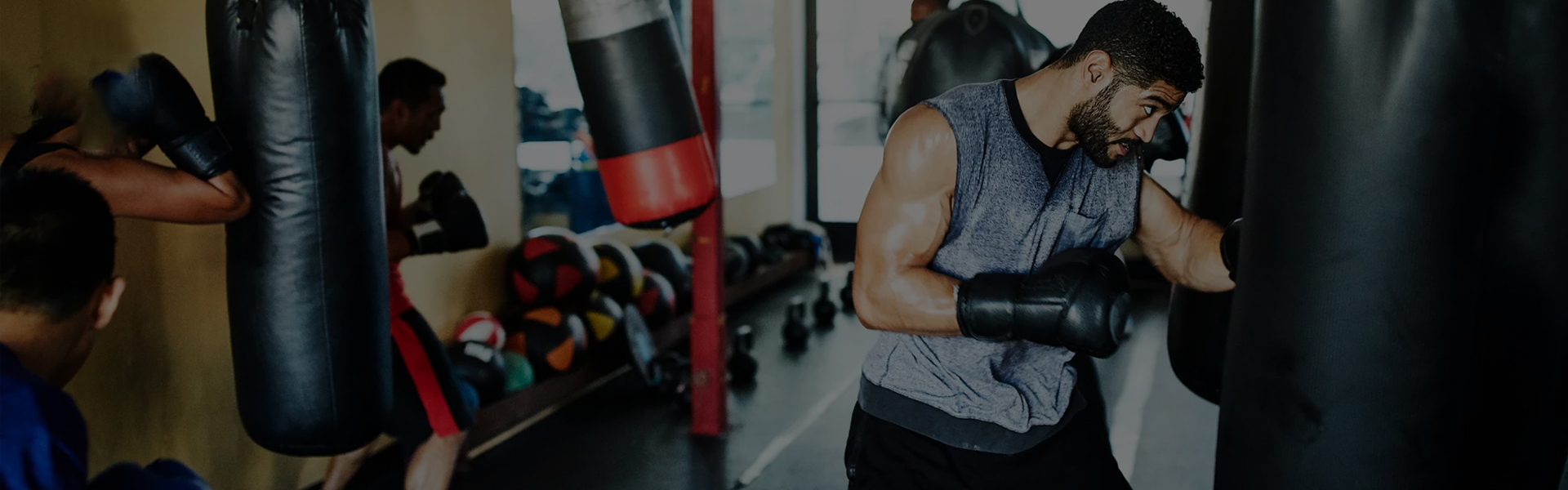 BOXING GEARS